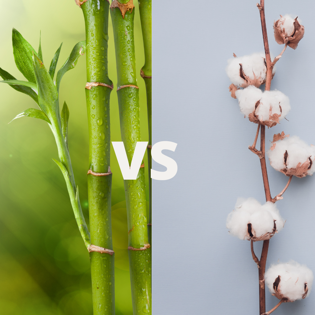 bamboo vs cotton underwear  NOT SO ECO-FRIENDLY – Reer Endz Underwear