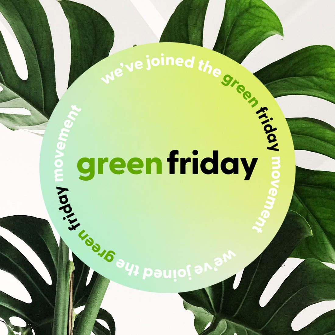 Green friday with Reer Endz Men's underwear. Sustainable shopping by choosing eco friendly products.g
