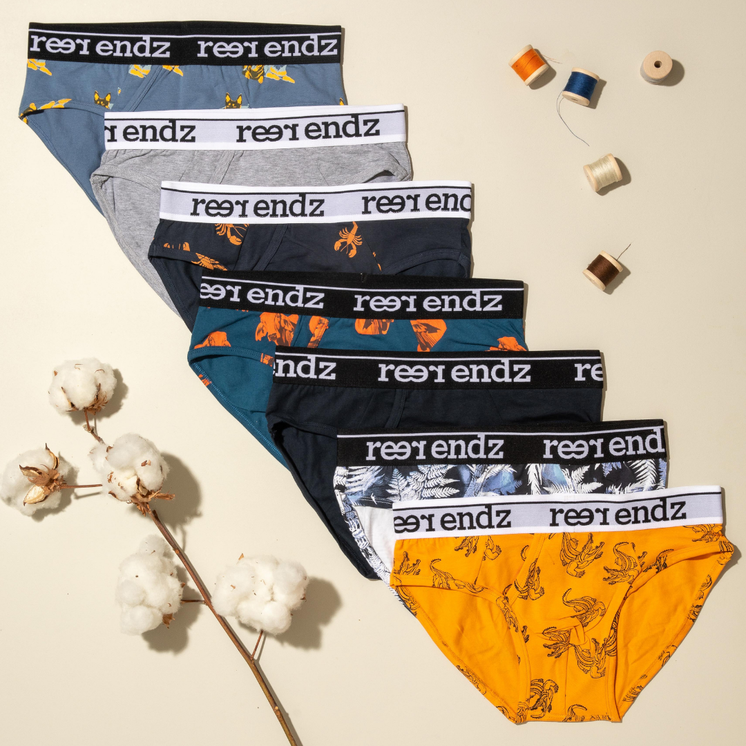 Organic cotton men's briefs underwear layered out flat with organic cotton plant and coloured organic cotton