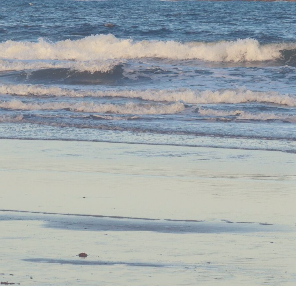 We need to preserve our planet which includes our oceans. It's so important to produce environmentally friendly products. That's why we choose Organic Cotton.